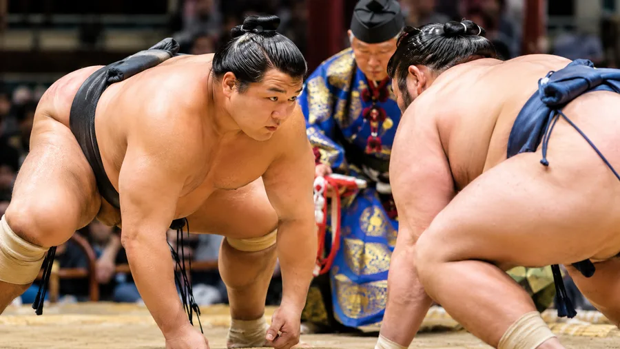 Japanese Sumo Wrestlers: Ranks, Training, and Lifestyle